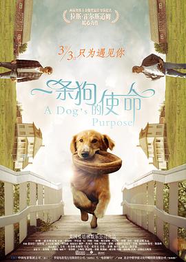 免费国产一区二区三区