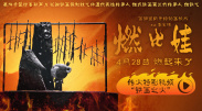 一区二区三区不卡在线