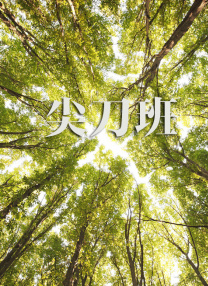 欧美精选在线