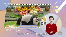 白玉般的她