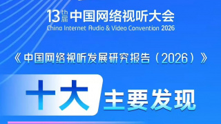 妻子的101婚姻