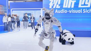 国产91对白在线播放